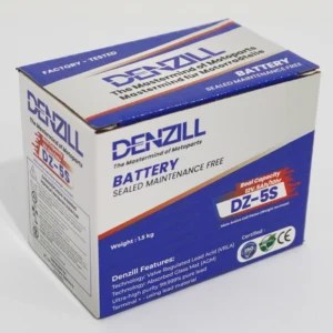 2W Battery DZ-5S